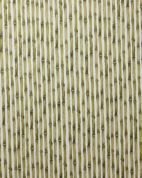 Bamboo Dinner Napkin Set